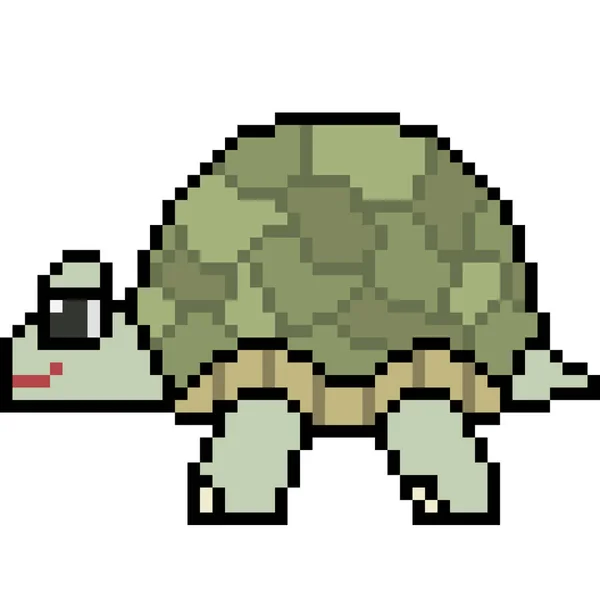 Vektor Pixel Art Schildkröte — Stockvektor