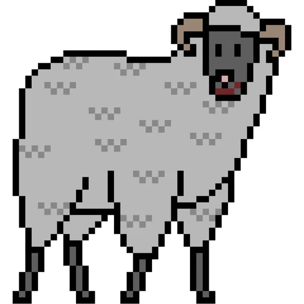 Vettore Pixel Art Pecore Isolato — Vettoriale Stock