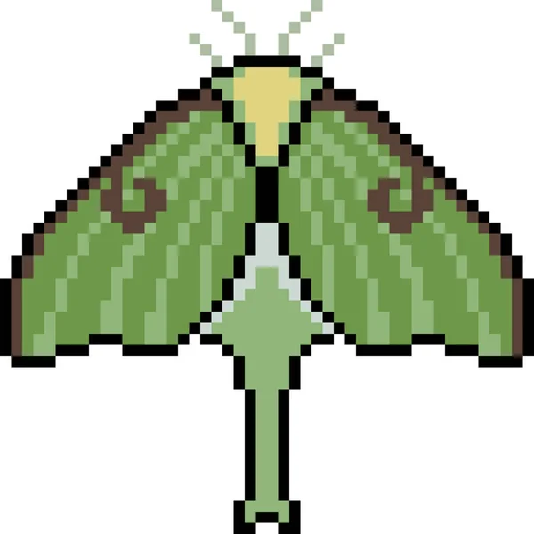 Vecteur Pixel Art Papillon Isolé — Image vectorielle