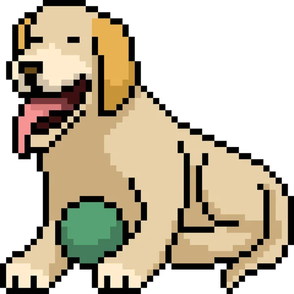 Vecteur Pixel Art Chien Jouer Boule Isolé Dessin Animé — Image vectorielle