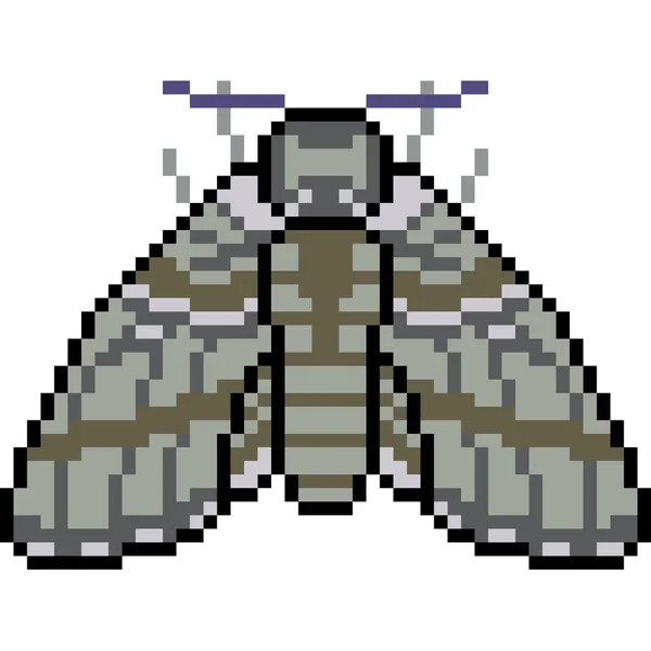 Vektor Pixel Umění Hmyz Můra Izolované — Stockový vektor