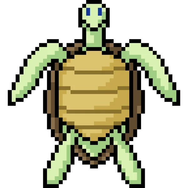 Векторные Пиксельные Черепахи Стоят Перед Изолированным Мультфильмом — стоковый вектор