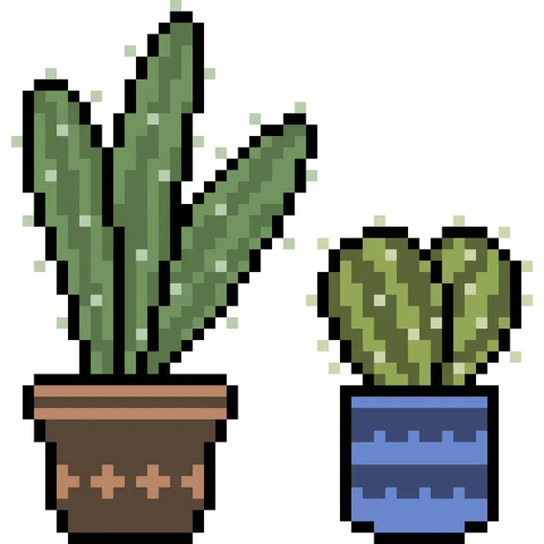 Vector Pixel Arte Cactus Decoración Aislado — Vector de stock