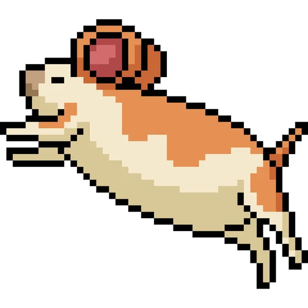 Vector Pixel Arta Hamster Desene Animate Izolate — Vector de stoc