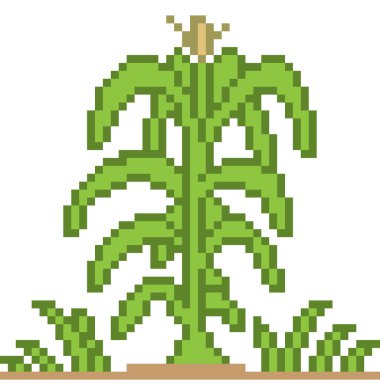vektör piksel sanat mısır ağacı izole
