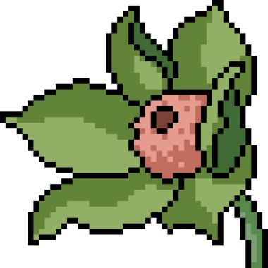 Vektör piksel sanat fantezi çiçeği izole çizgi film