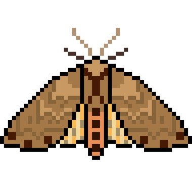 vektör piksel sanat güvesi izole edildi