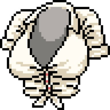 vektör pikseli kadın gömleği izole edilmiş karikatür