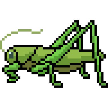 vektör pikseli çekirge izole edilmiş çizgi film