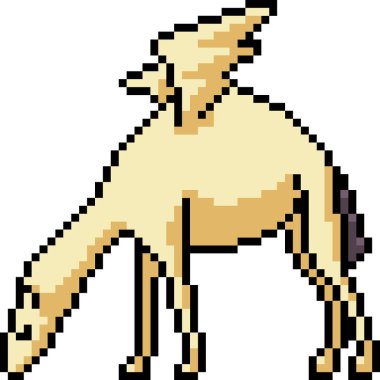 vektör piksel sanat pegasus deve izole cartoo