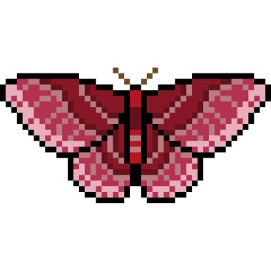 vektör piksel sanat güvesi izole edildi