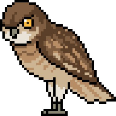 vektör piksel sanat baykuşu izole görünüyor