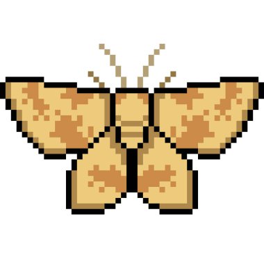 vektör piksel sanat güvesi izole edildi