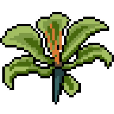 vektör piksel sanatı çiçek izole çizgi film