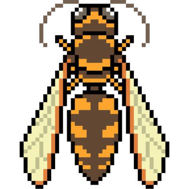 vektör piksel sanat eşekarısı izole edildi