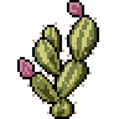 vektör piksel sanat kaktüsü izole edilmiş çizgi film