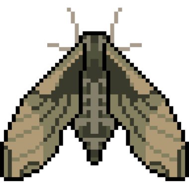 piksel sanat güvesi izole edildi