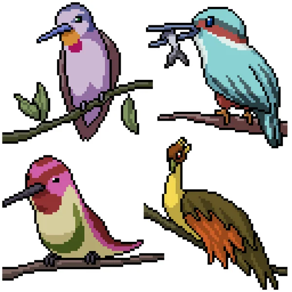 Pixel Art Set Uccello Isolato Sul Ramo — Vettoriale Stock