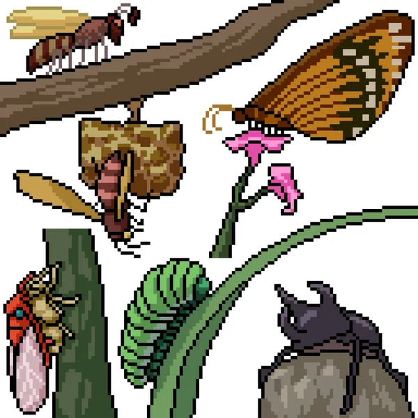 Pixel Art Set Especies Aisladas Insectos — Vector de stock