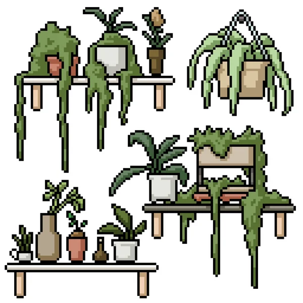 Pixel Art Set Geïsoleerde Plant Plank Decoratie — Stockvector