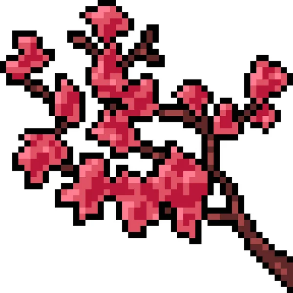 Vecteur Pixel Art Sakura Branche Isolé — Image vectorielle