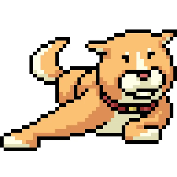 Векторное Пиксельное Искусство Shiba Собака Смешной Изолированный Мультфильм — стоковый вектор