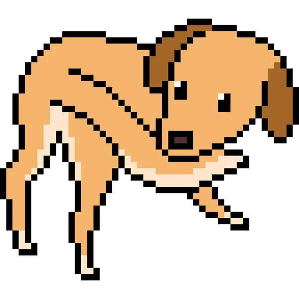Vektor Pixel Konst Hund Spela Svans Isolerad — Stock vektor