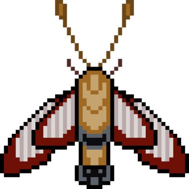 vektör piksel sanat güvesi izole edildi