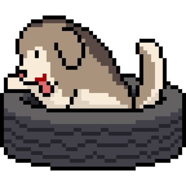 vektör pikseli yavru köpek. Tekerlek izole çizgi film oynat.