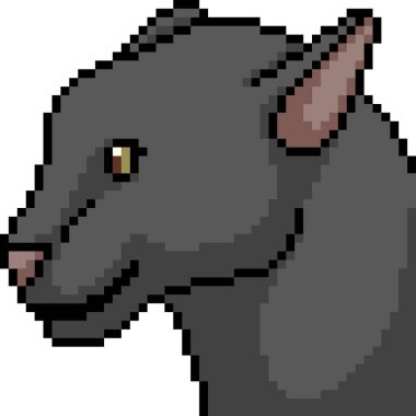 vektör piksel sanat kara panter kafası izole edilmiş karta