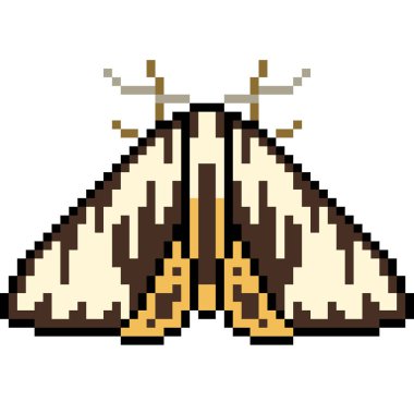 vektör piksel sanat güvesi izole edildi