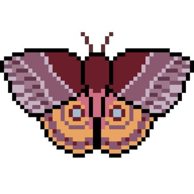 vektör piksel sanat güvesi izole edildi