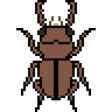 vektör piksel sanat böceği izole edildi