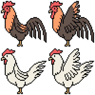 vektör piksel sanat kümesi tavuk izole
