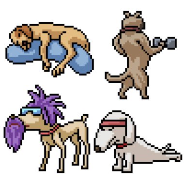 pikseller izole edilmiş komik köpek seti