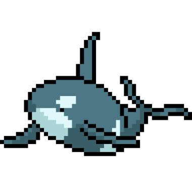 vektör piksel sanat katil balina izole çizgi film