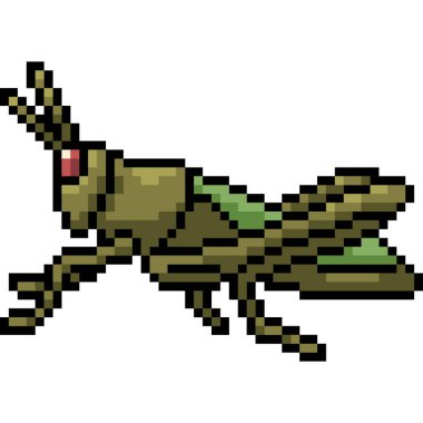 vektör piksel sanat çekirgesi izole edilmiş karta