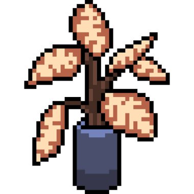 vektör pikseli sanat bitkisi tenceresi izole edilmiş çizgi film