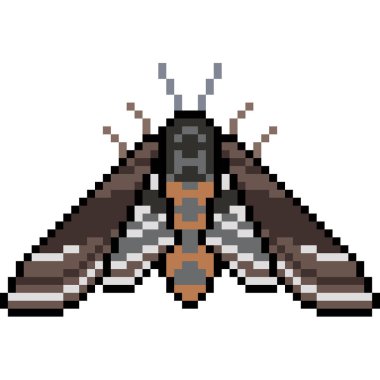 piksel sanat güvesi izole edildi