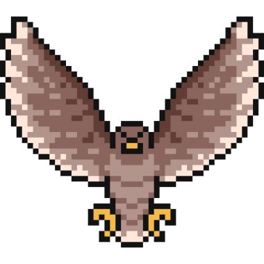 vektör piksel sanat şahini izole edildi