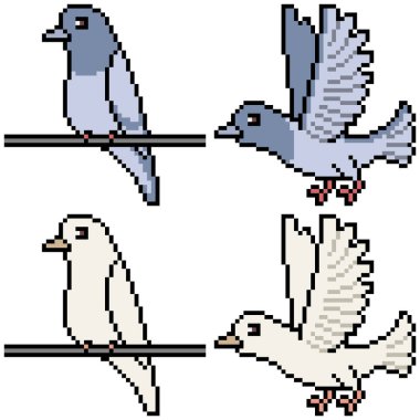 vektör piksel sanatı kumruyu izole etti