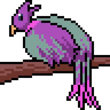 Vektör piksel sanat kuşu güzel izole çizgi film