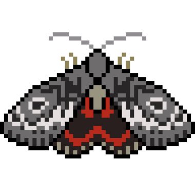 vektör piksel sanat güvesi izole edildi