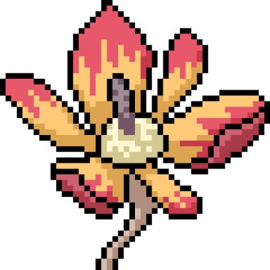 vektör piksel sanat çiçeği soyut izole çizgi film