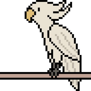 Vektör piksel sanat papağanı izole edildi