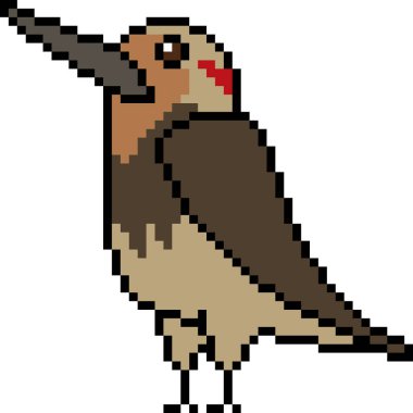 vektör piksel sanat kuşu izole edildi