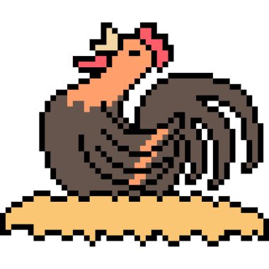 vektör piksel sanat tavuğu izole edildi