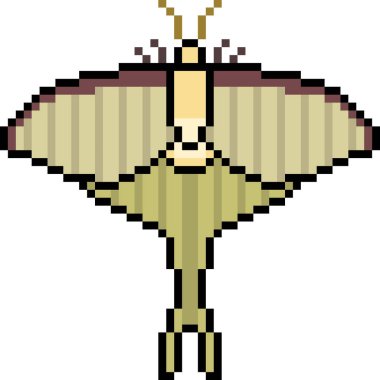 piksel sanat güvesi izole edildi