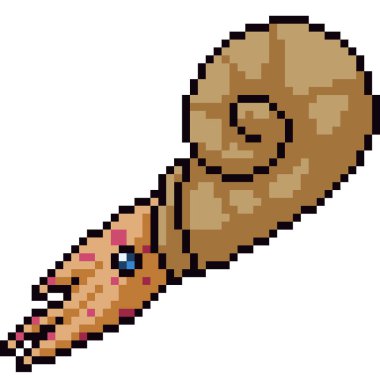 vektör piksel sanat ahtapot kabuğu izole çizgi film