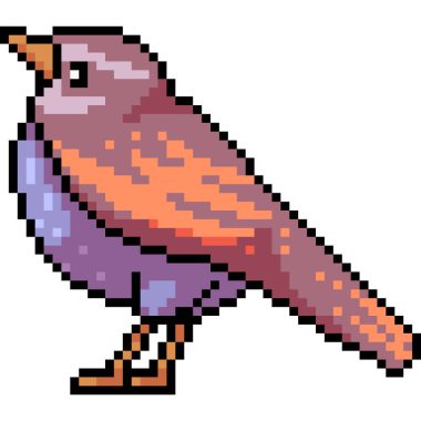 vektör piksel sanat kuşu yağı izole çizgi film